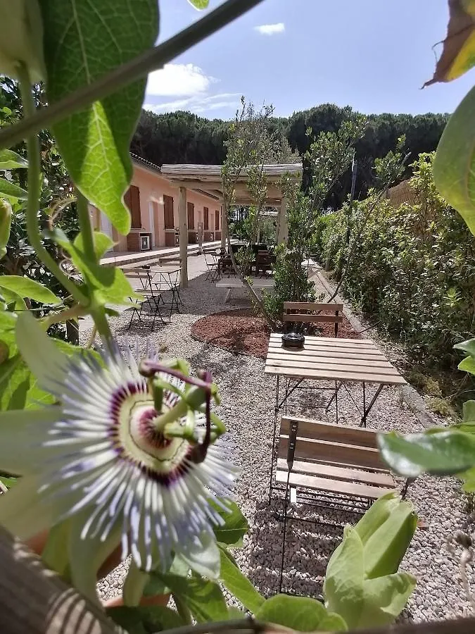 Hotel Le Palme Albinia
